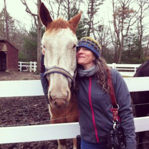 Instagram Horse Rescue Volunteering